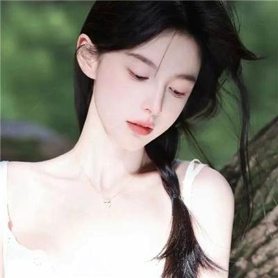 翼龙