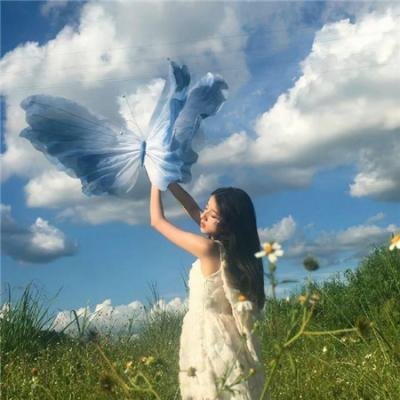 晴晚之林